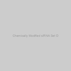Image of Chemically Modified siRNA Set D